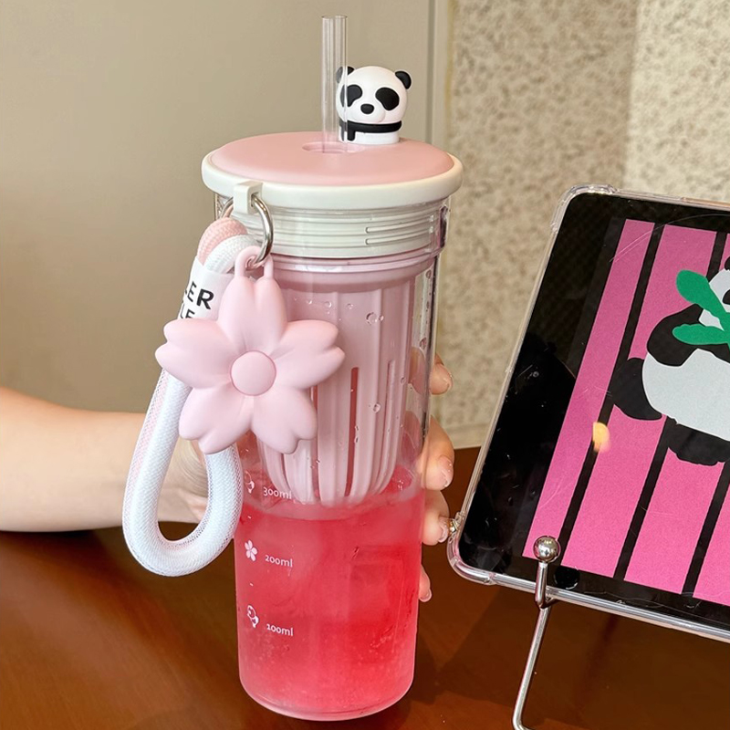 650ml Kawaii Waterfles Met Fil - Coffee Tea Equipment recensie en prijs